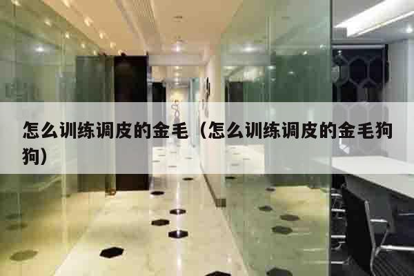 怎么训练调皮的金毛（怎么训练调皮的金毛狗狗）