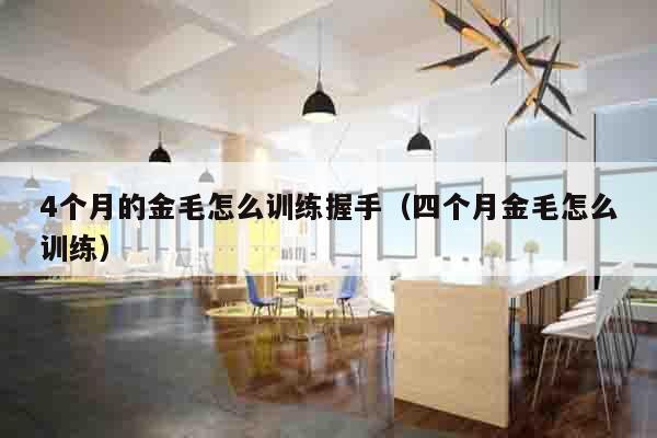 4个月的金毛怎么训练握手（四个月金毛怎么训练）
