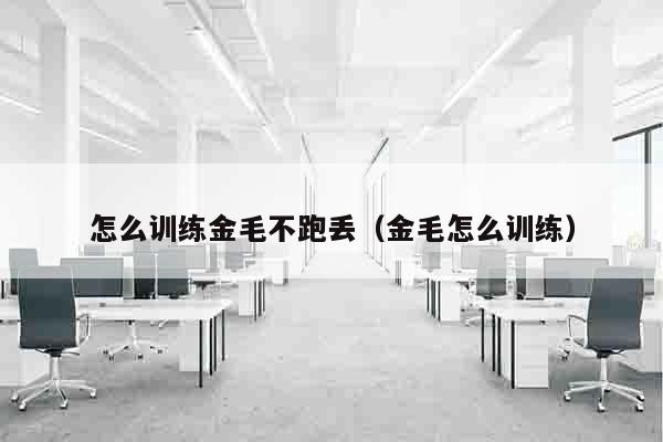 怎么训练金毛不跑丢（金毛怎么训练）