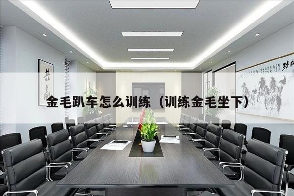 金毛趴车怎么训练（训练金毛坐下）