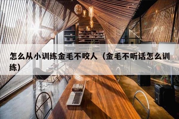 怎么从小训练金毛不咬人（金毛不听话怎么训练）