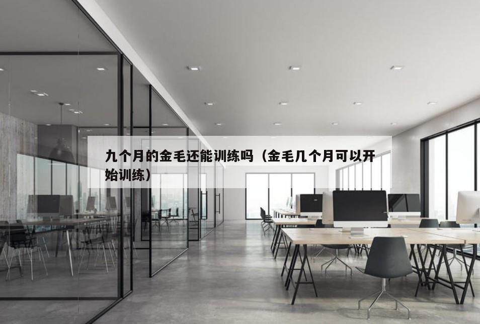 九个月的金毛还能训练吗（金毛几个月可以开始训练）