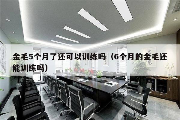 金毛5个月了还可以训练吗（6个月的金毛还能训练吗）