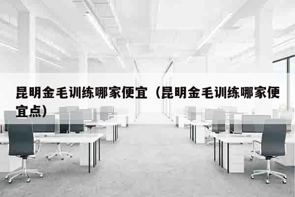 昆明金毛训练哪家便宜（昆明金毛训练哪家便宜点）