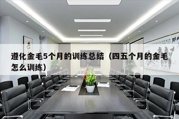 遵化金毛5个月的训练总结（四五个月的金毛怎么训练）