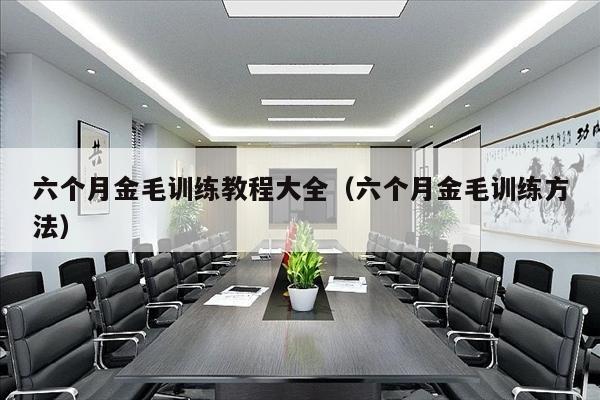 六个月金毛训练教程大全（六个月金毛训练方法）