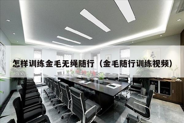 怎样训练金毛无绳随行（金毛随行训练视频）