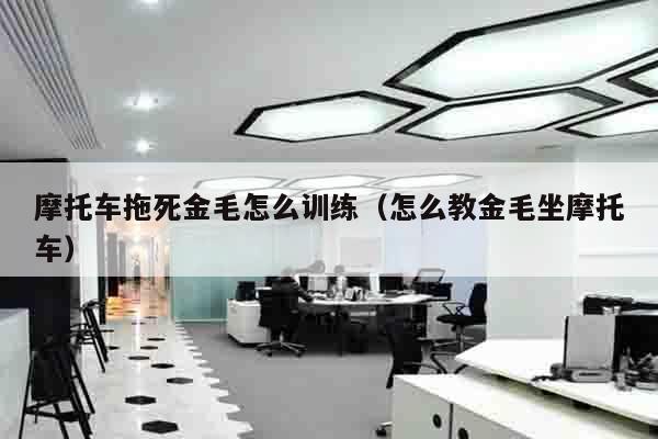摩托车拖死金毛怎么训练（怎么教金毛坐摩托车）