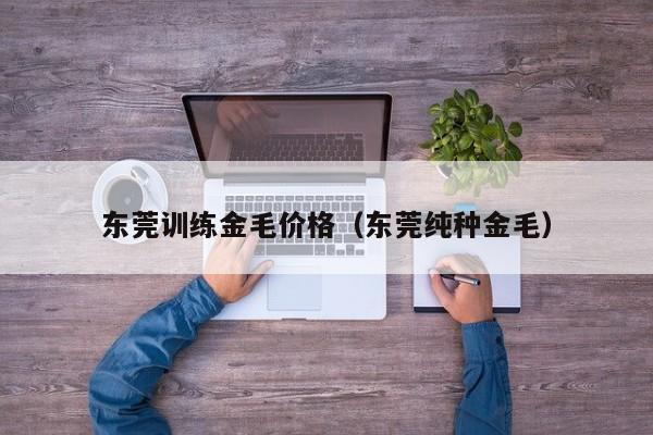 东莞训练金毛价格（东莞纯种金毛）