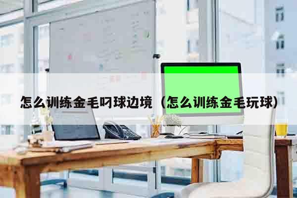 怎么训练金毛叼球边境（怎么训练金毛玩球）