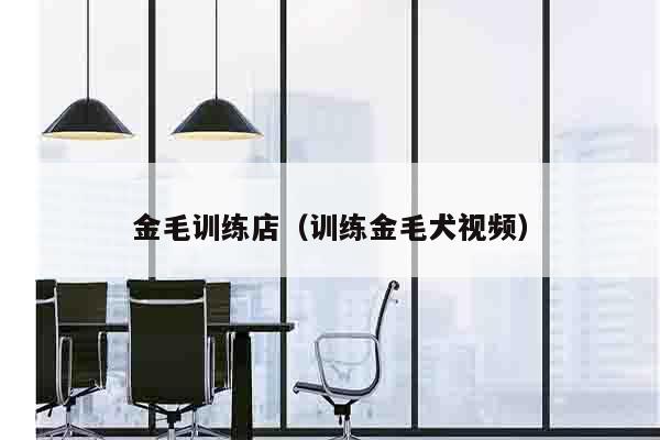 金毛训练店（训练金毛犬视频）