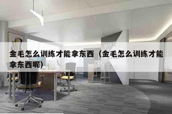 金毛怎么训练才能拿东西（金毛怎么训练才能拿东西呢）