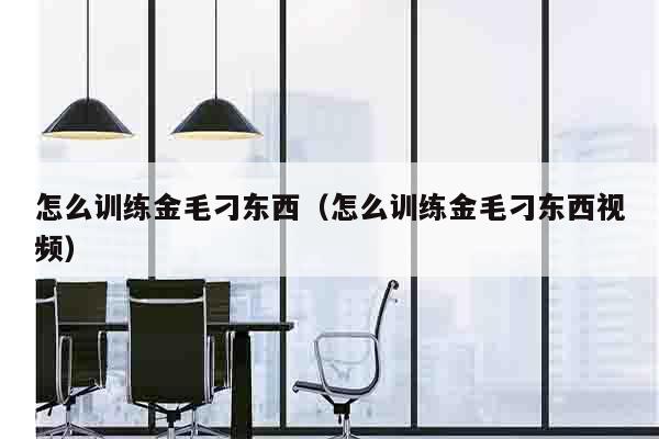 怎么训练金毛刁东西（怎么训练金毛刁东西视频）