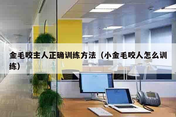 金毛咬主人正确训练方法（小金毛咬人怎么训练）