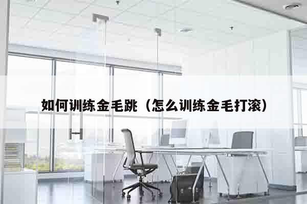 如何训练金毛跳（怎么训练金毛打滚）