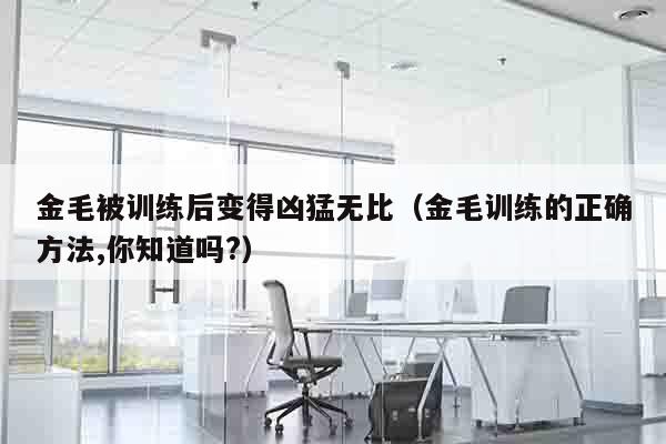 金毛被训练后变得凶猛无比（金毛训练的正确方法,你知道吗?）