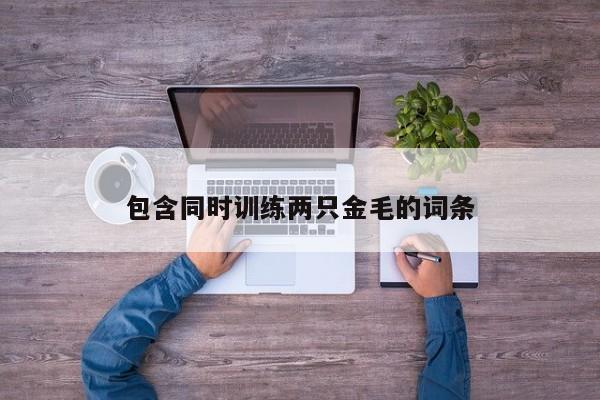 包含同时训练两只金毛的词条