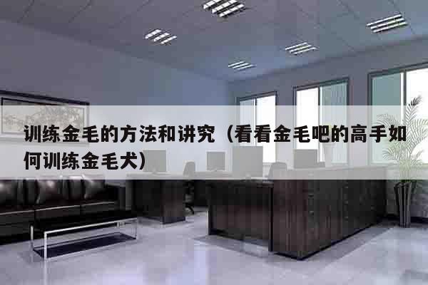 训练金毛的方法和讲究（看看金毛吧的高手如何训练金毛犬）