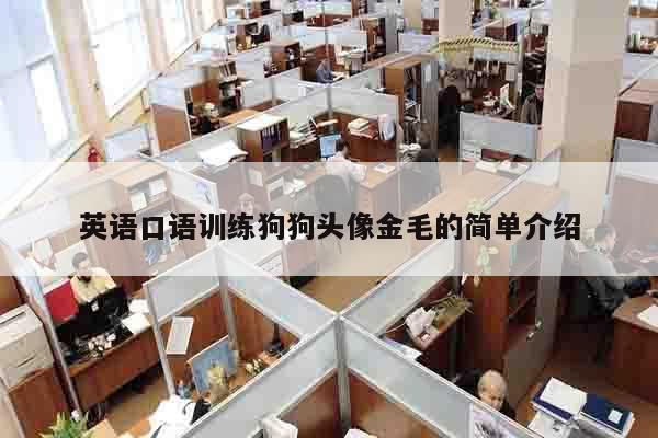 英语口语训练狗狗头像金毛的简单介绍