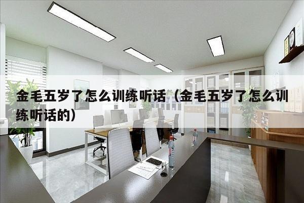 金毛五岁了怎么训练听话（金毛五岁了怎么训练听话的）