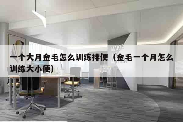 一个大月金毛怎么训练排便（金毛一个月怎么训练大小便）