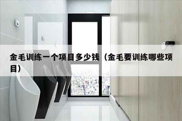 金毛训练一个项目多少钱（金毛要训练哪些项目）