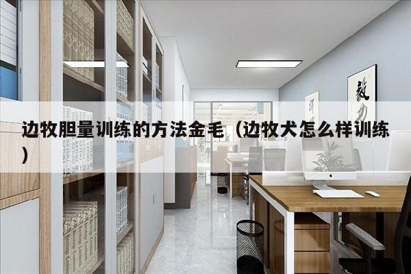 边牧胆量训练的方法金毛（边牧犬怎么样训练）