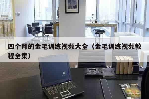 四个月的金毛训练视频大全（金毛训练视频教程全集）