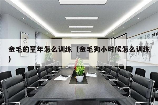 金毛的童年怎么训练（金毛狗小时候怎么训练）