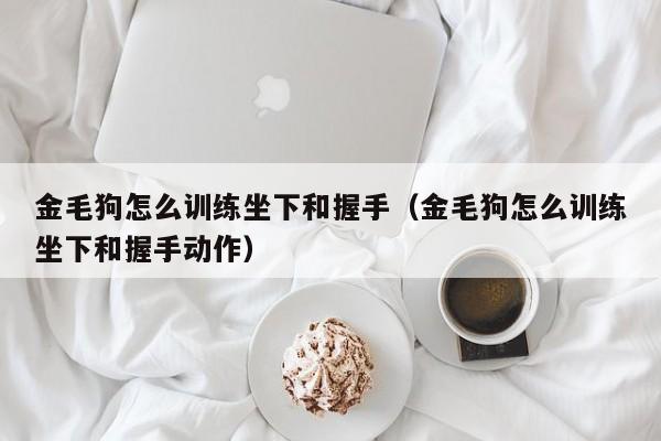 金毛狗怎么训练坐下和握手（金毛狗怎么训练坐下和握手动作）