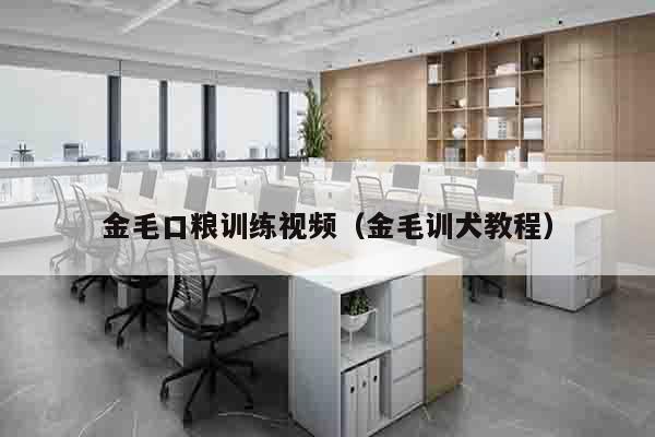 金毛口粮训练视频（金毛训犬教程）