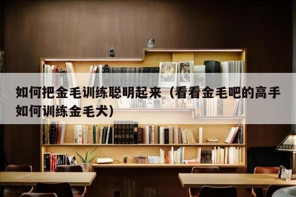 如何把金毛训练聪明起来（看看金毛吧的高手如何训练金毛犬）