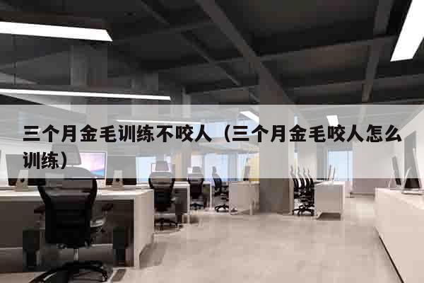 三个月金毛训练不咬人（三个月金毛咬人怎么训练）