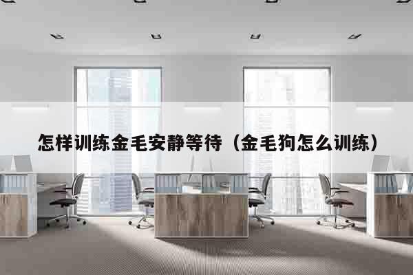 怎样训练金毛安静等待（金毛狗怎么训练）