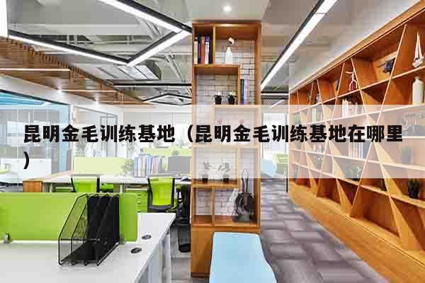 昆明金毛训练基地（昆明金毛训练基地在哪里）