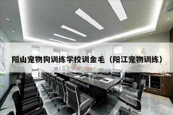 阳山宠物狗训练学校训金毛（阳江宠物训练）