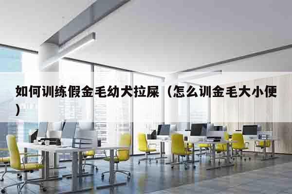 如何训练假金毛幼犬拉屎（怎么训金毛大小便）