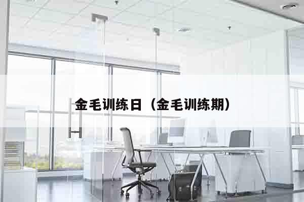 金毛训练日（金毛训练期）