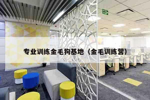 专业训练金毛狗基地（金毛训练营）