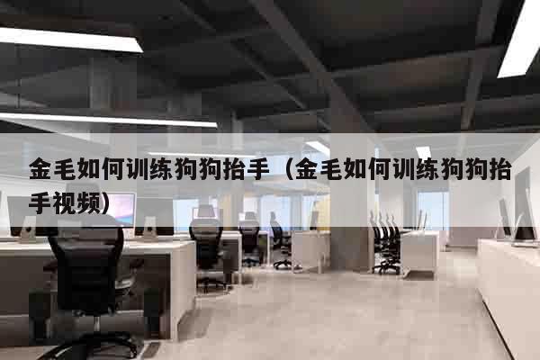 金毛如何训练狗狗抬手（金毛如何训练狗狗抬手视频）