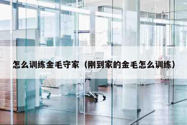 怎么训练金毛守家（刚到家的金毛怎么训练）