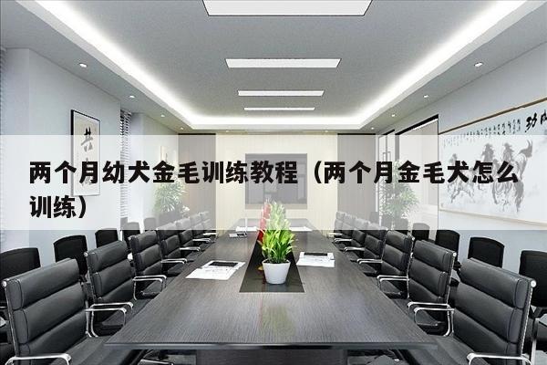 两个月幼犬金毛训练教程（两个月金毛犬怎么训练）