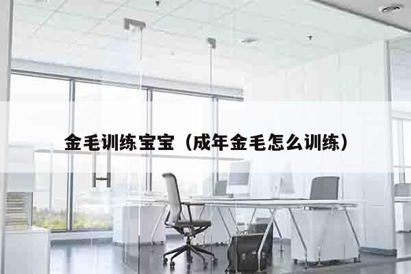 金毛训练宝宝（成年金毛怎么训练）