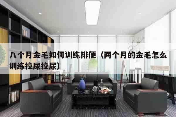 八个月金毛如何训练排便（两个月的金毛怎么训练拉屎拉尿）