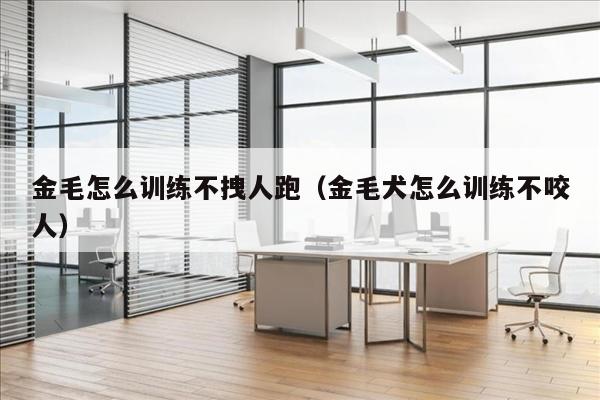 金毛怎么训练不拽人跑（金毛犬怎么训练不咬人）