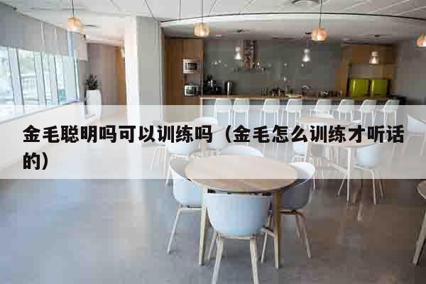 金毛聪明吗可以训练吗（金毛怎么训练才听话的）