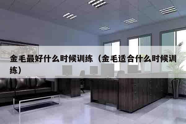 金毛最好什么时候训练（金毛适合什么时候训练）