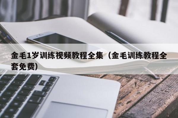 金毛1岁训练视频教程全集（金毛训练教程全套免费）