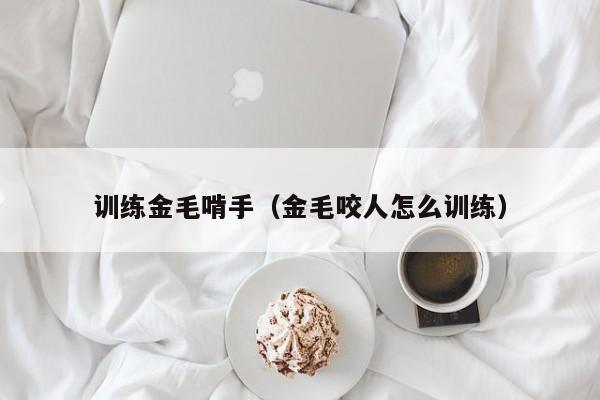 训练金毛啃手（金毛咬人怎么训练）