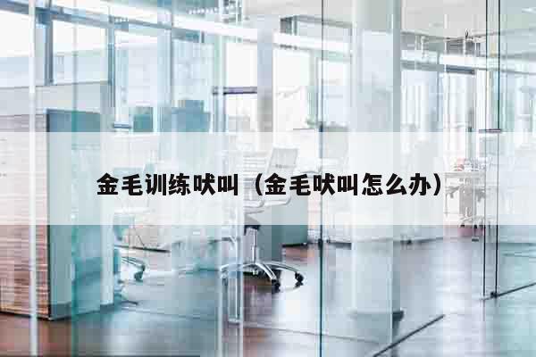 金毛训练吠叫（金毛吠叫怎么办）